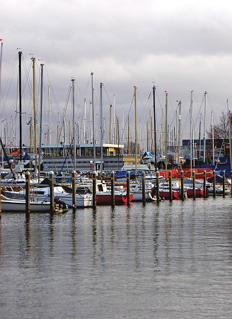 Zeewolde